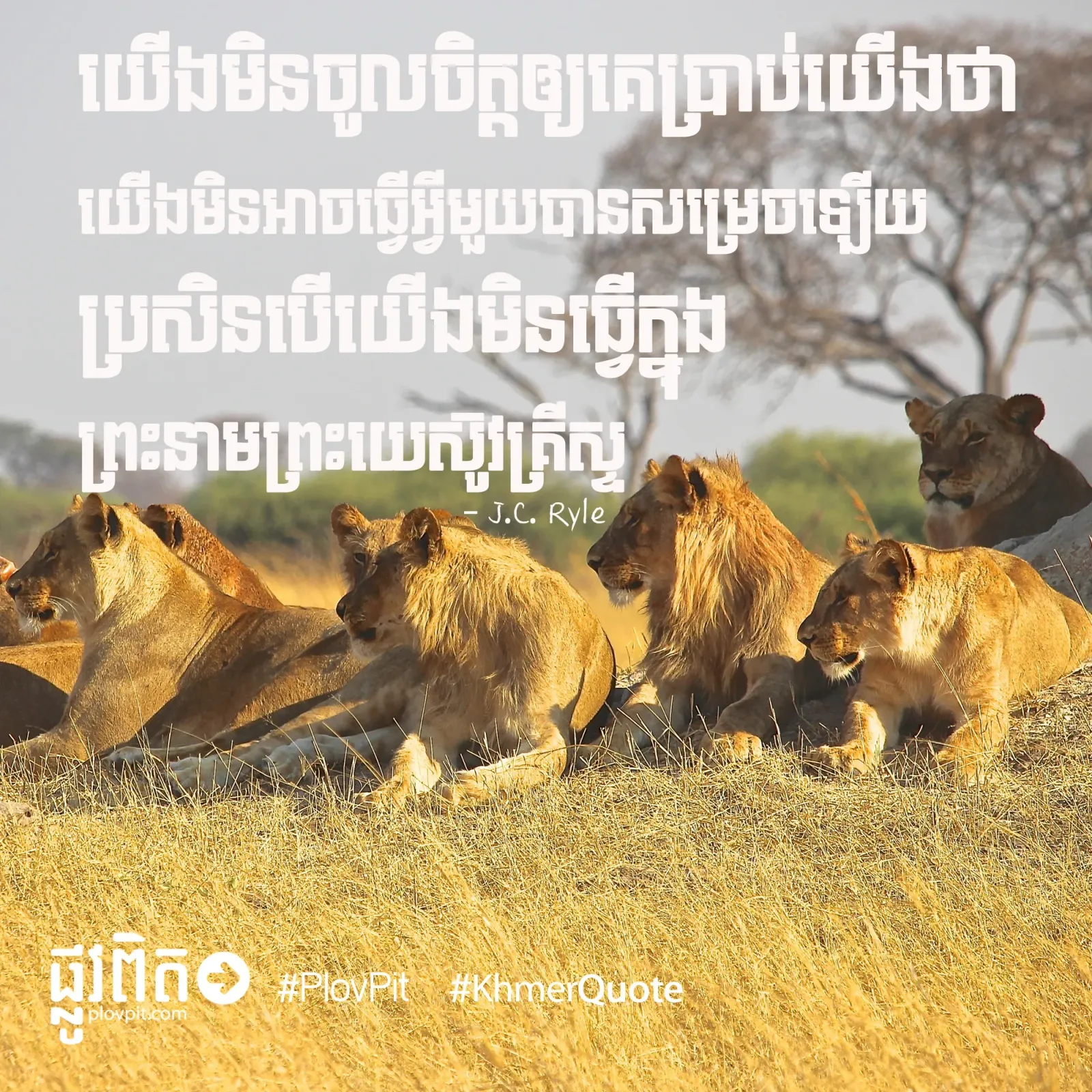 ធ្វើអ្វីមួយ