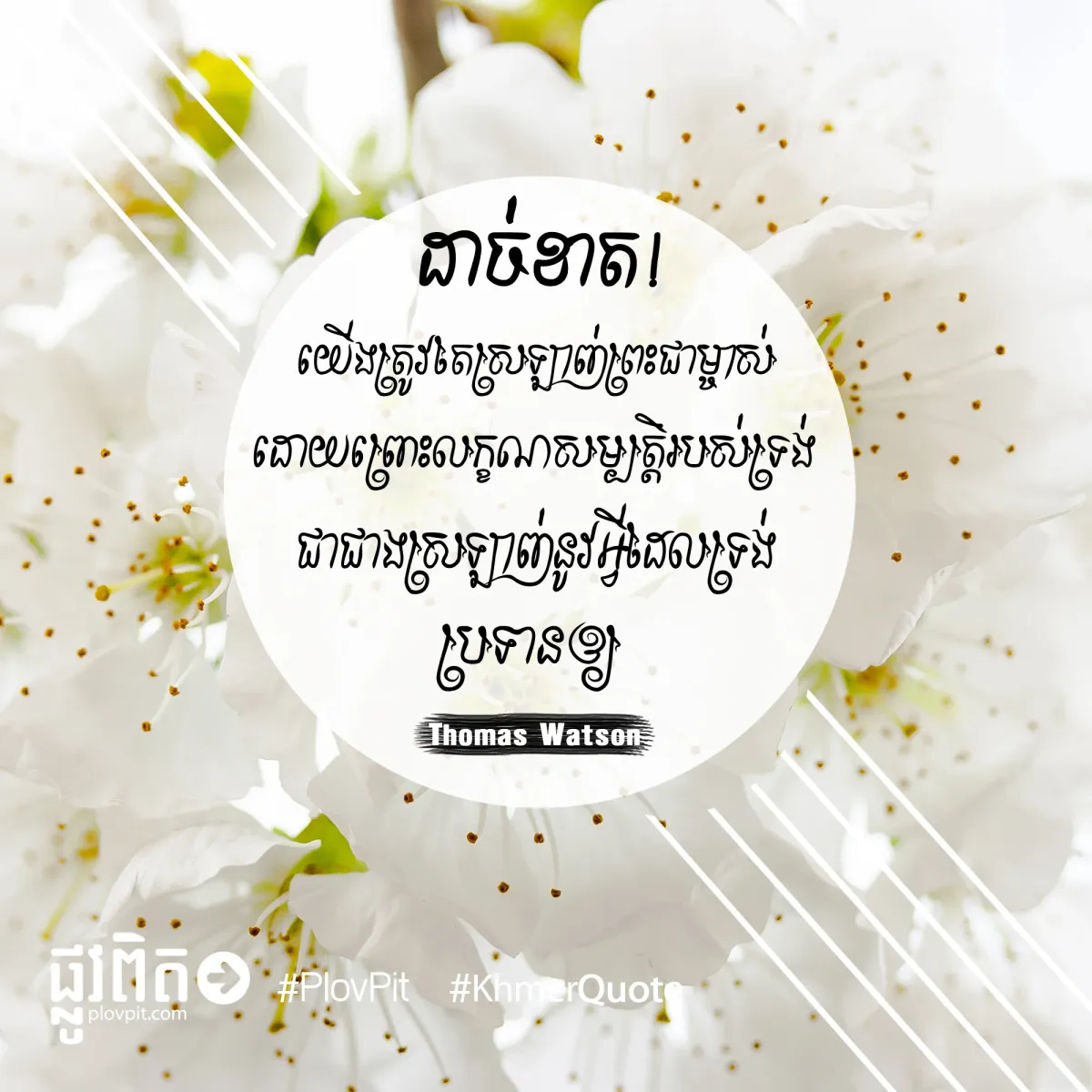 យើង​ត្រូវ​ការ​ស្រឡាញ់