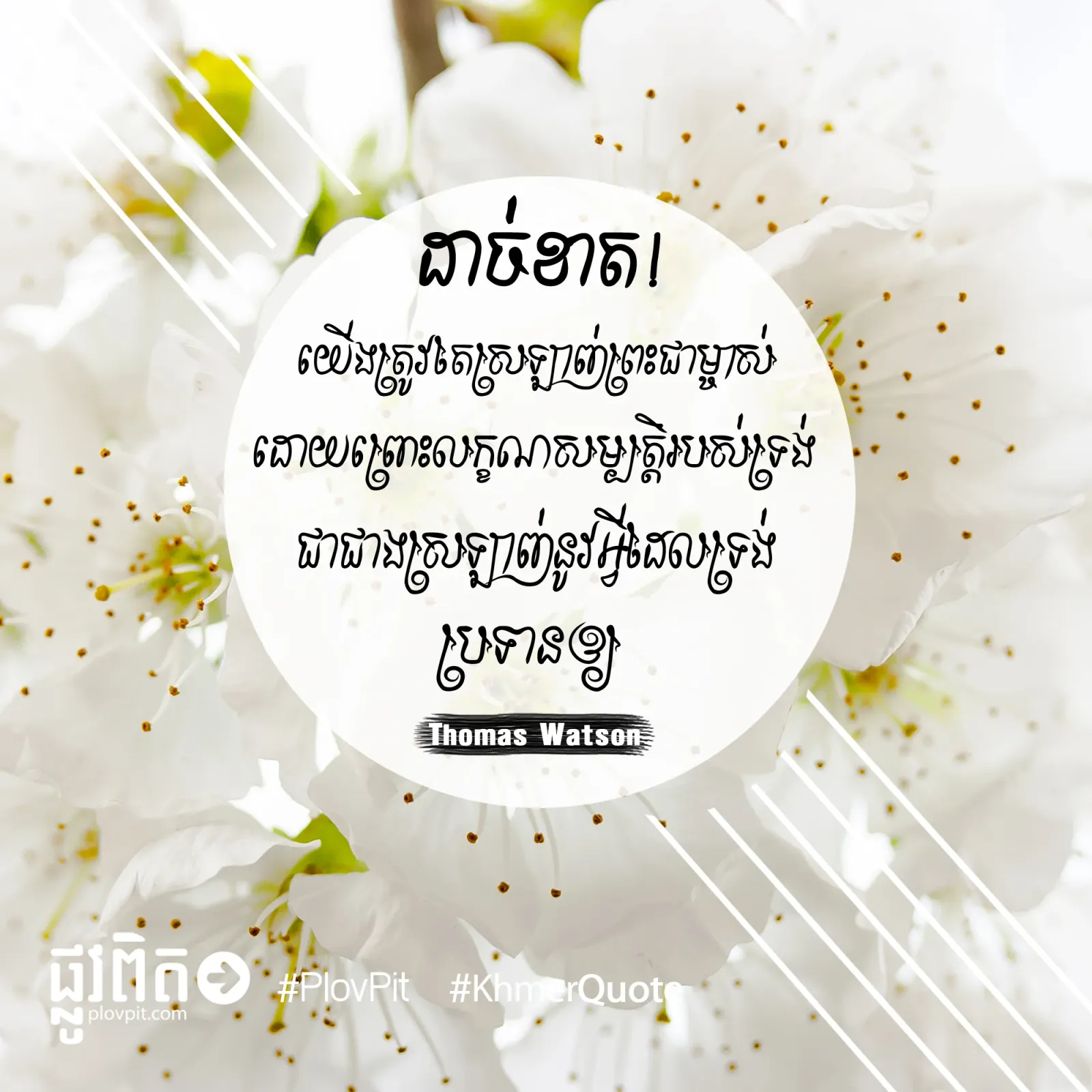 យើងត្រូវការស្រឡាញ់