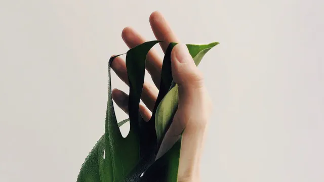 មានព្រះតែ១