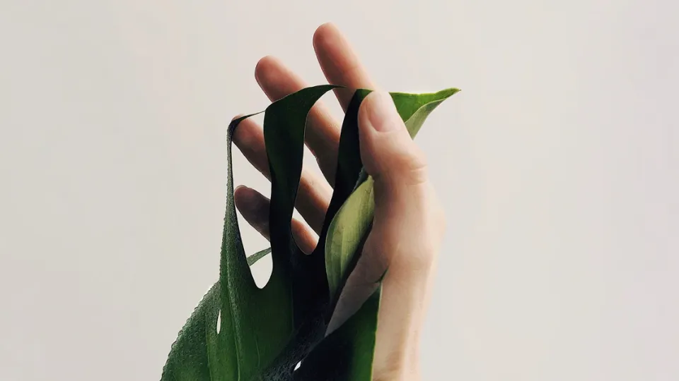 មានព្រះតែ១