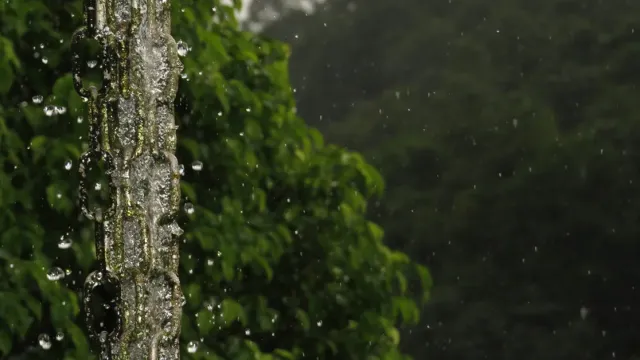 បានបង្កើត