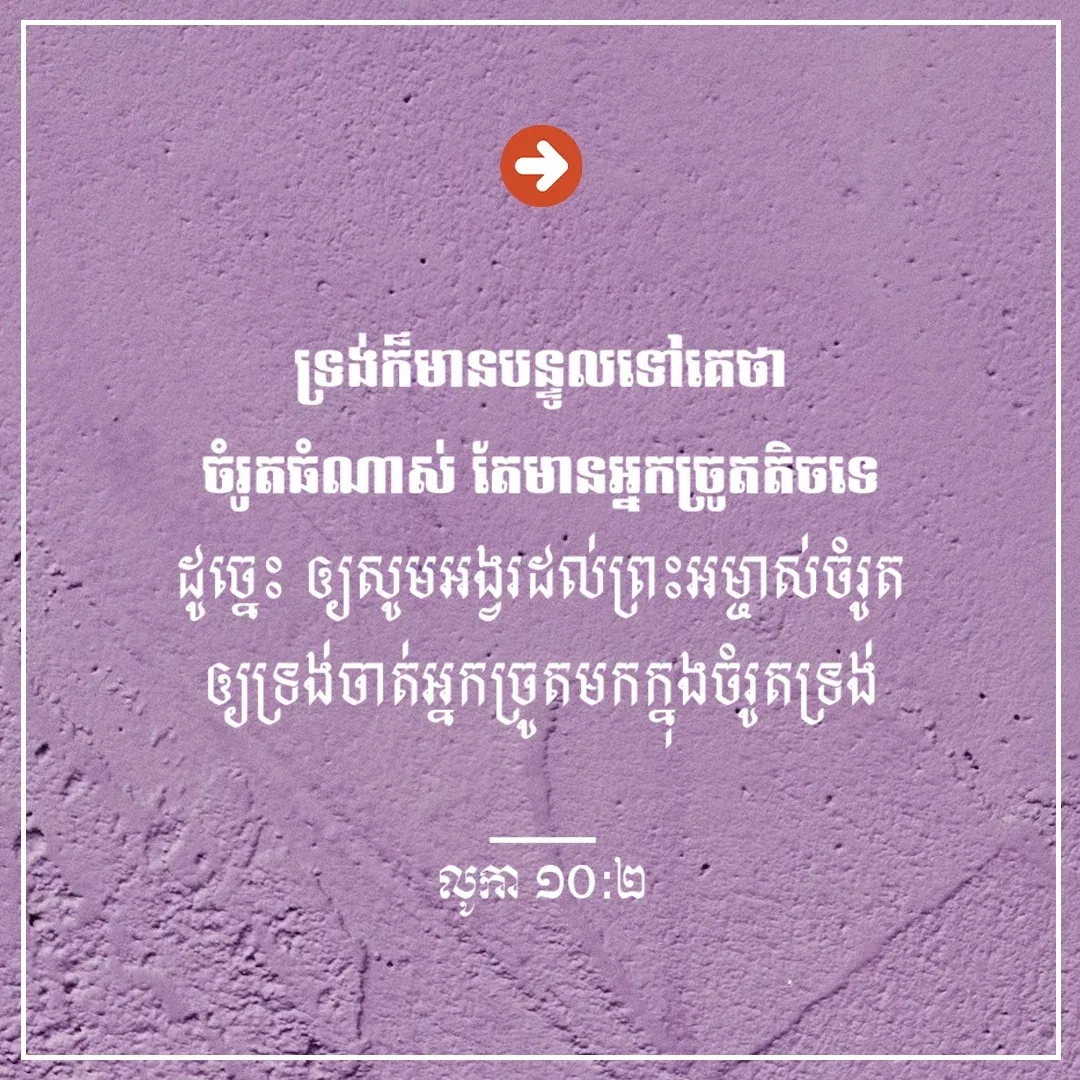 ចម្រូតធំណាស់