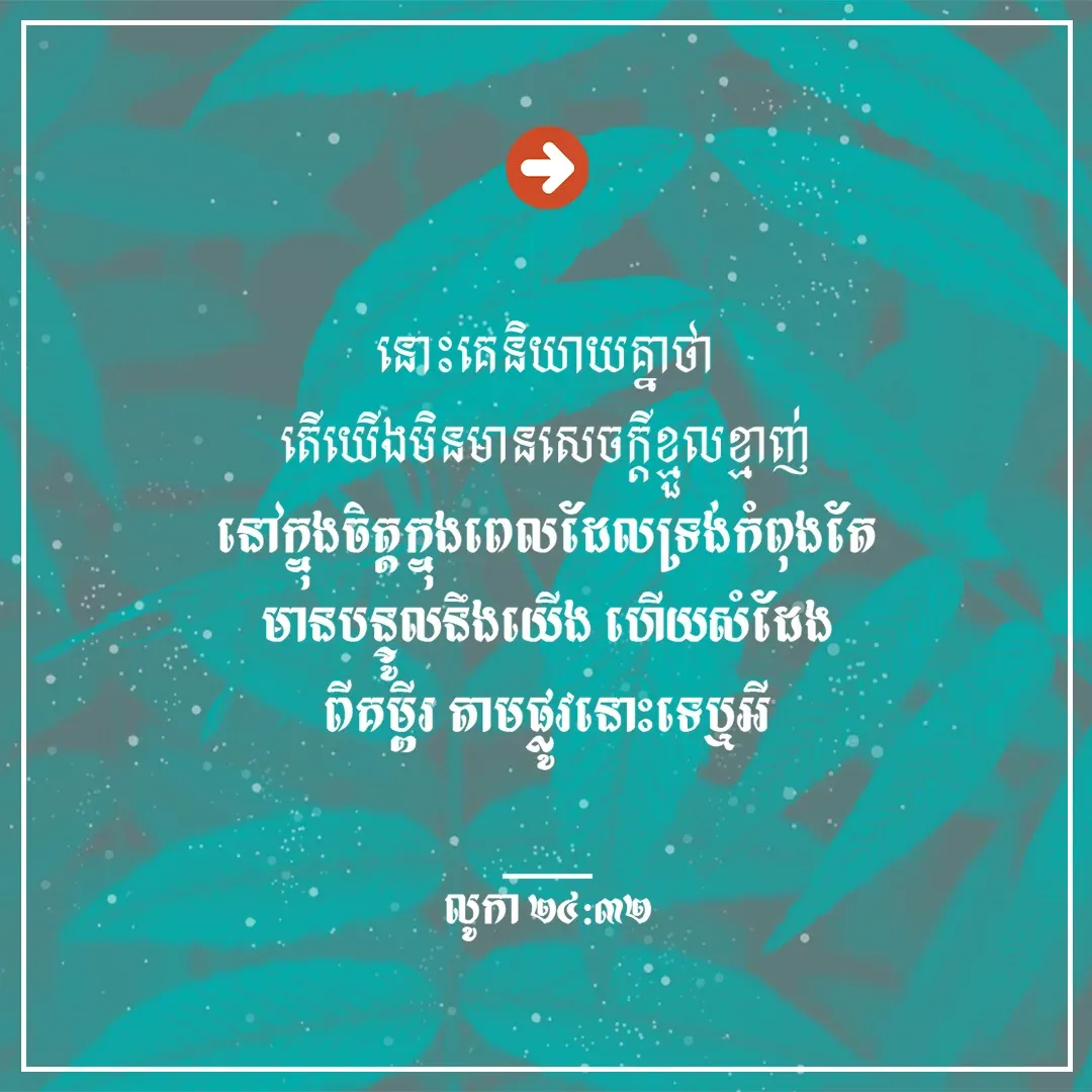 សេចក្ដីខ្មួលខ្មាញ់
