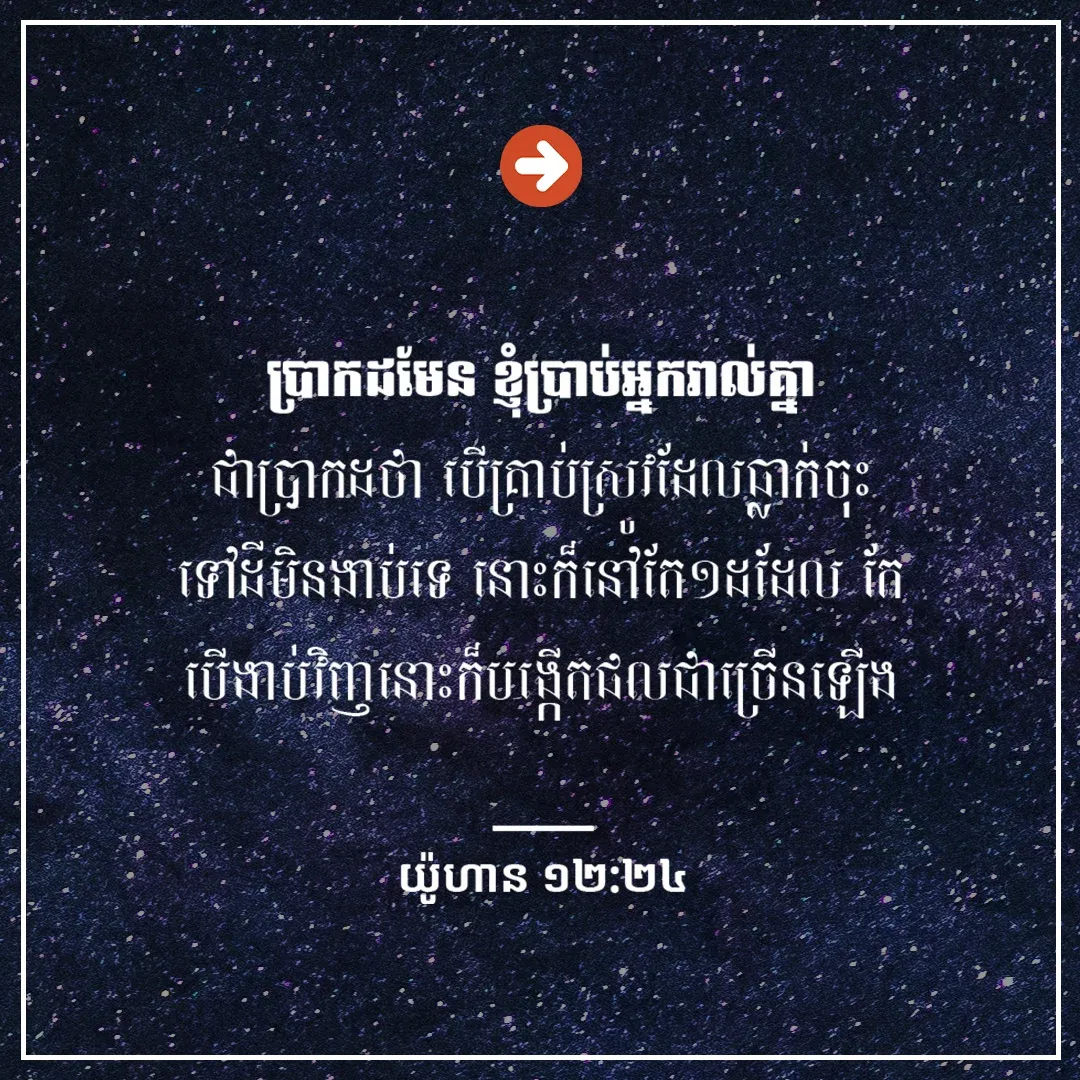 បង្កើតផល