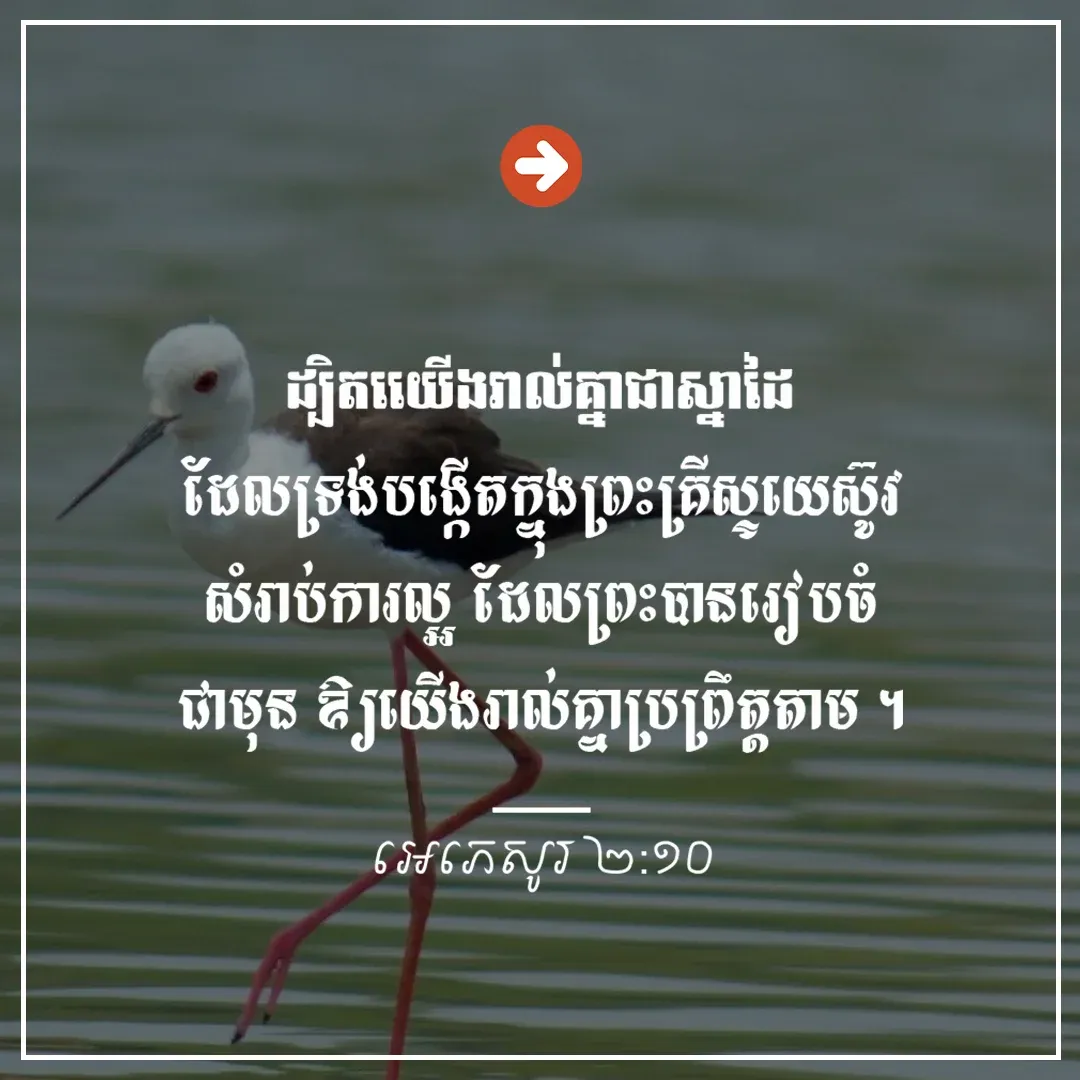ស្នាដៃ