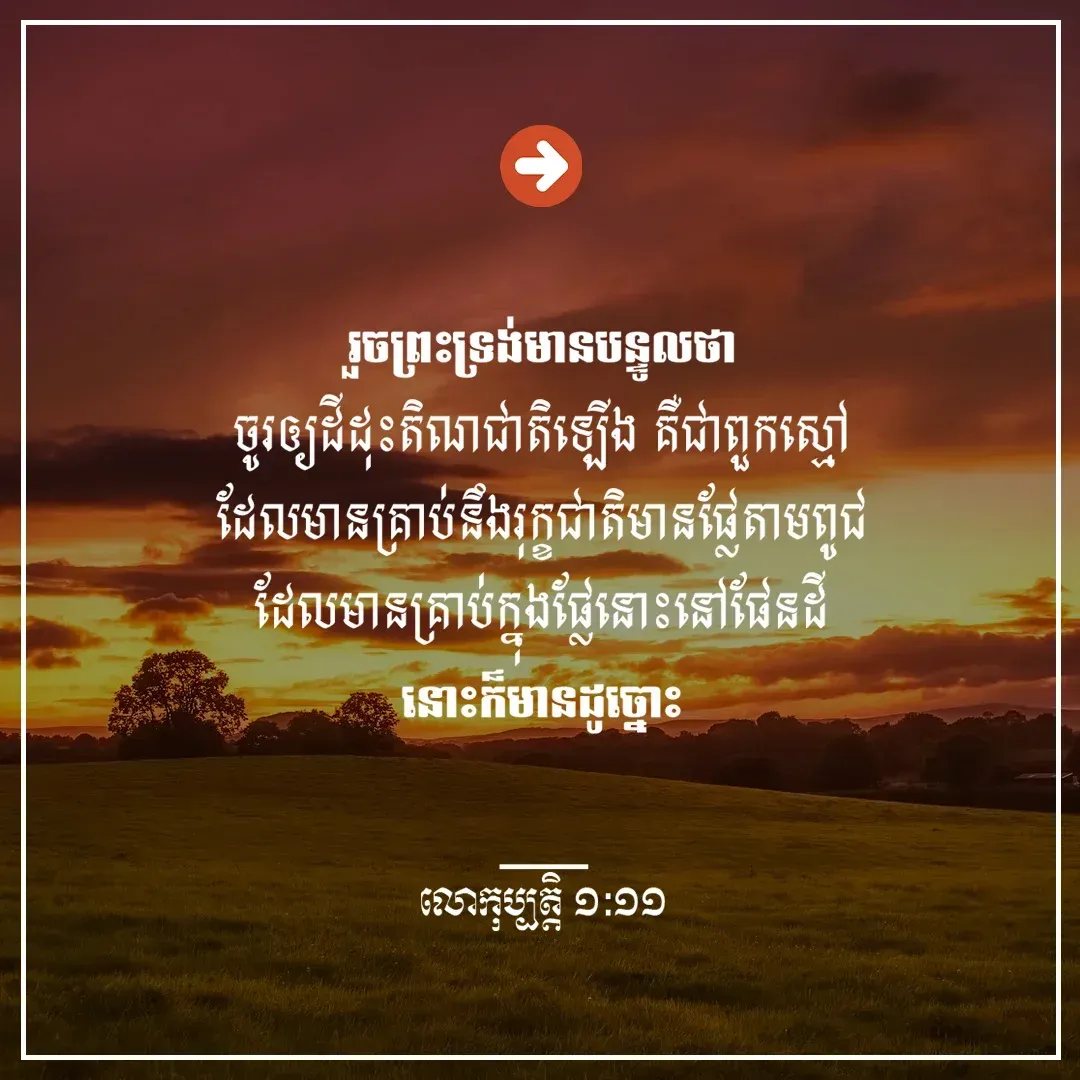 ដីដុះតិណជាតិ