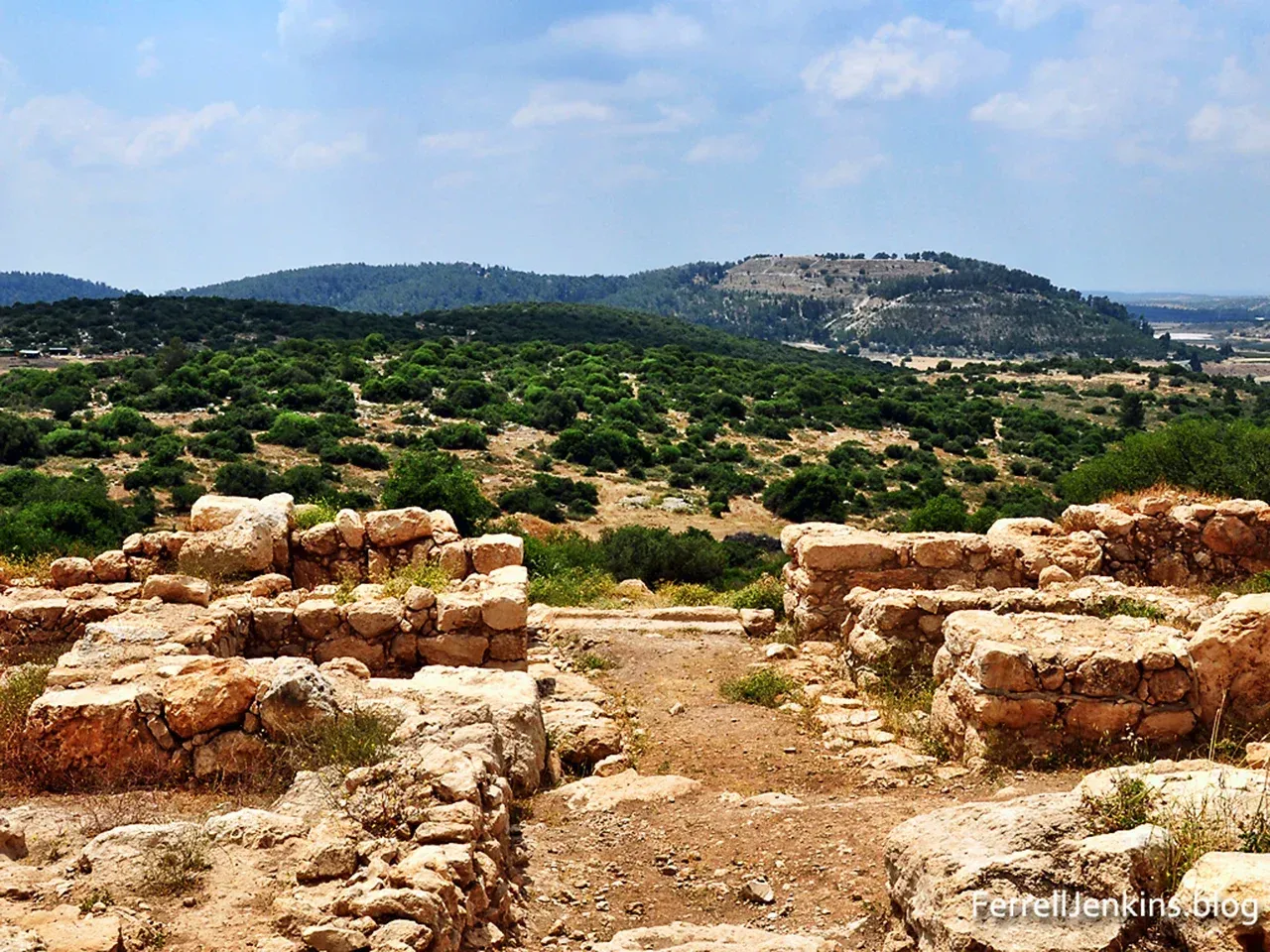 αααααα αΎαβααααΌαααΆααβαααβααΆααααβααΉαβααΆαααΆα ααααα
ααΆααΈα