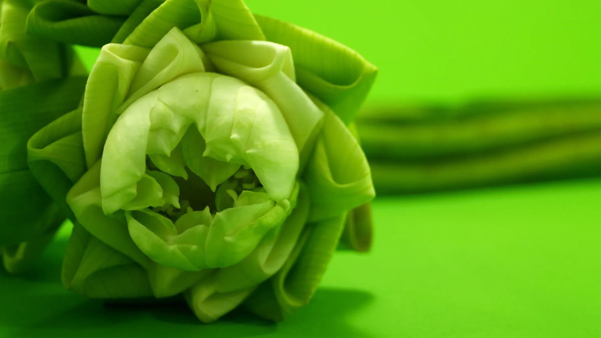 ការ​បន្ទាបខ្លួន